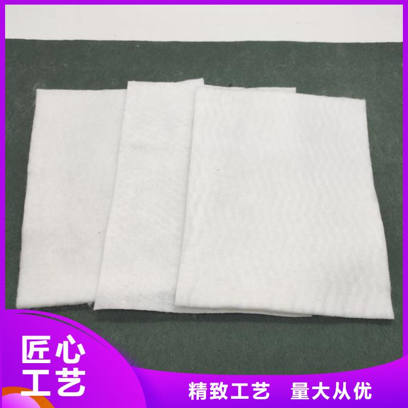 【土工布】拉筋带货源稳定