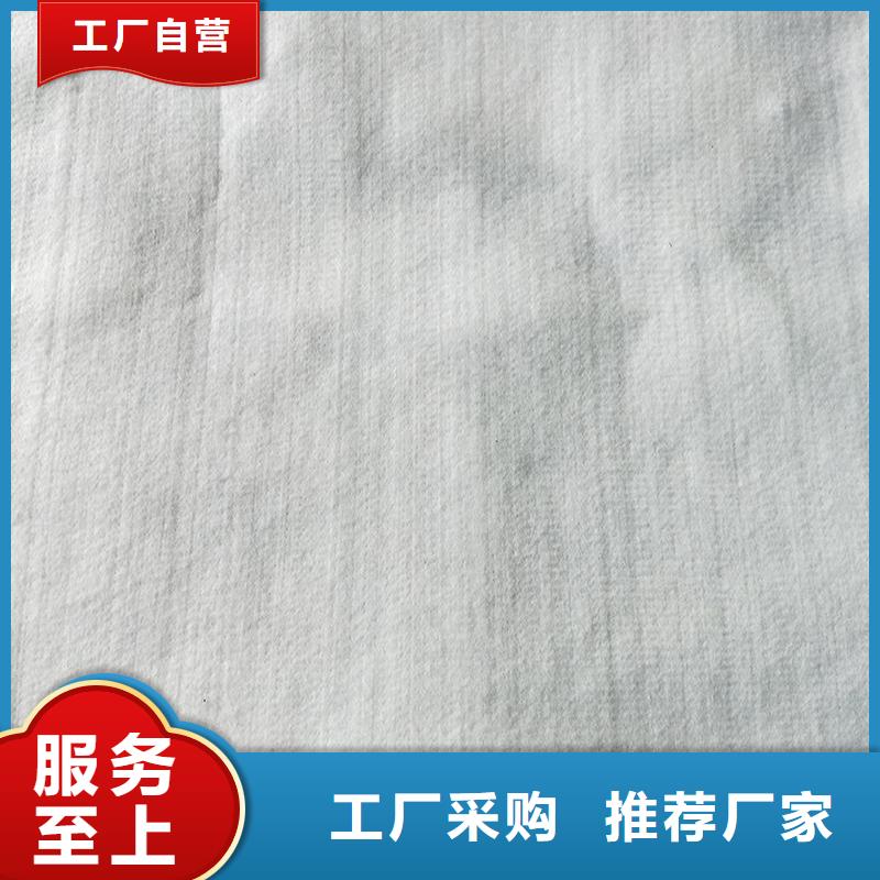 土工布植草格品质保证实力见证