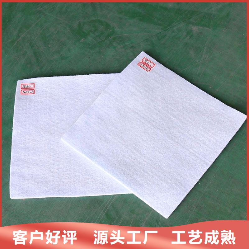 土工布土工格栅现货采购