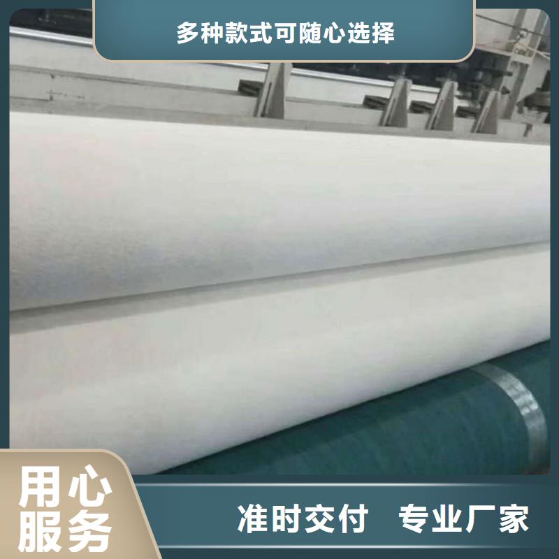 【土工布】-土工格栅厂家货源稳定