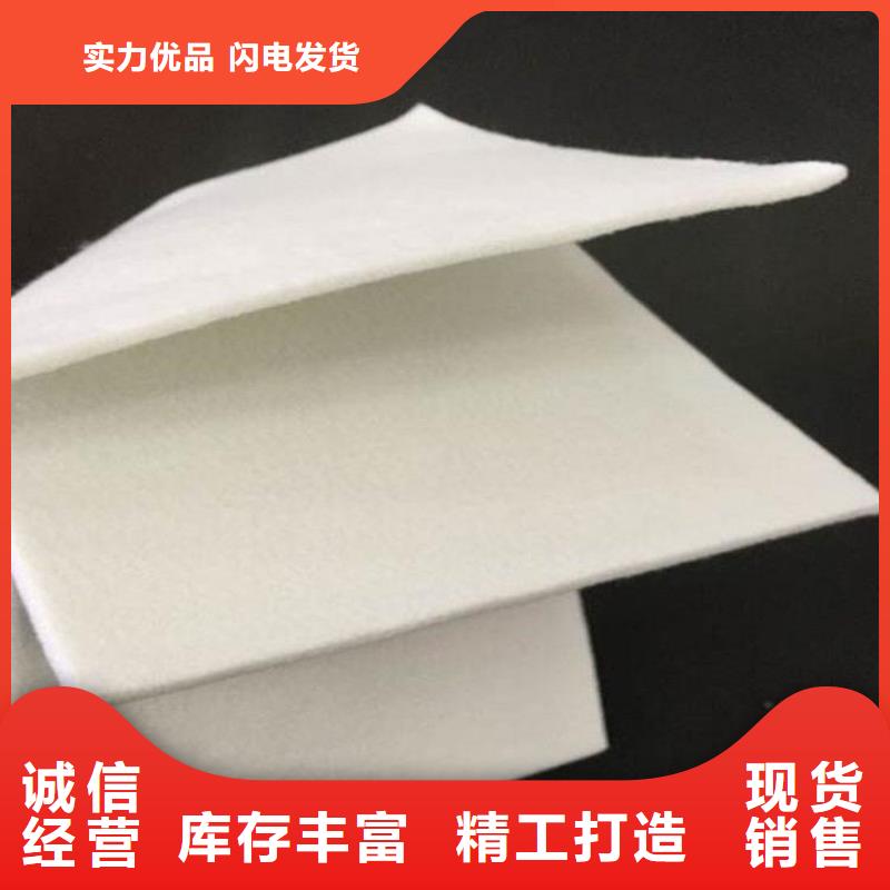 土工布植草格品质保证实力见证