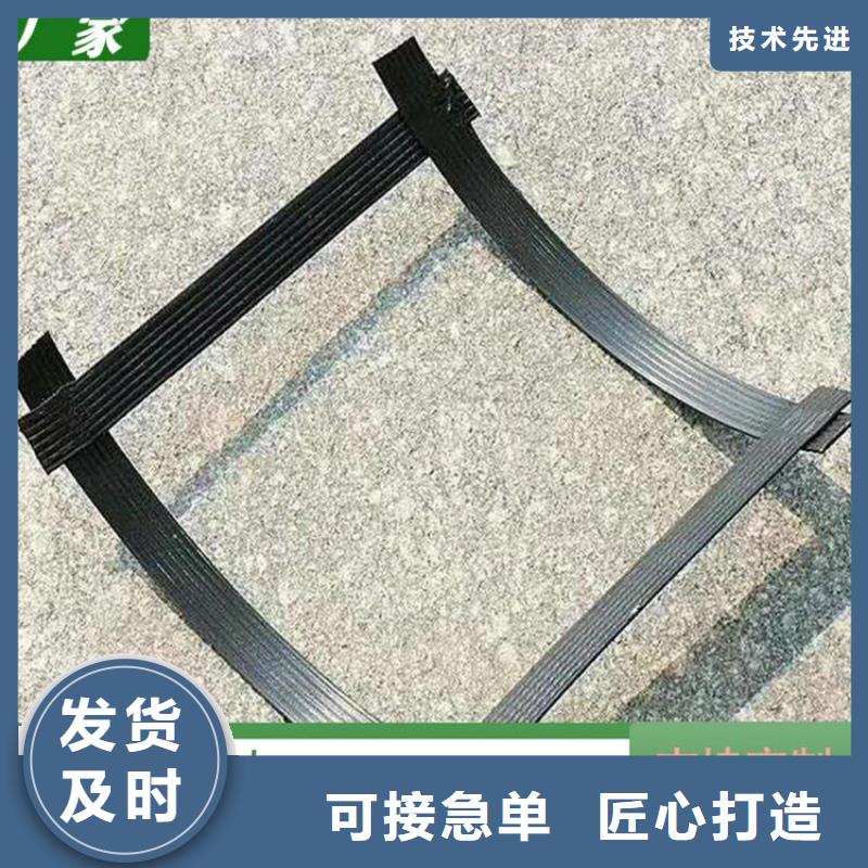 土工格栅【拉筋带】一致好评产品