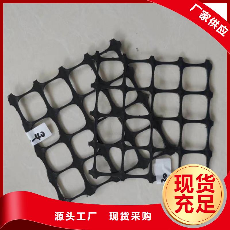 土工格栅-通风降噪丝网讲信誉保质量