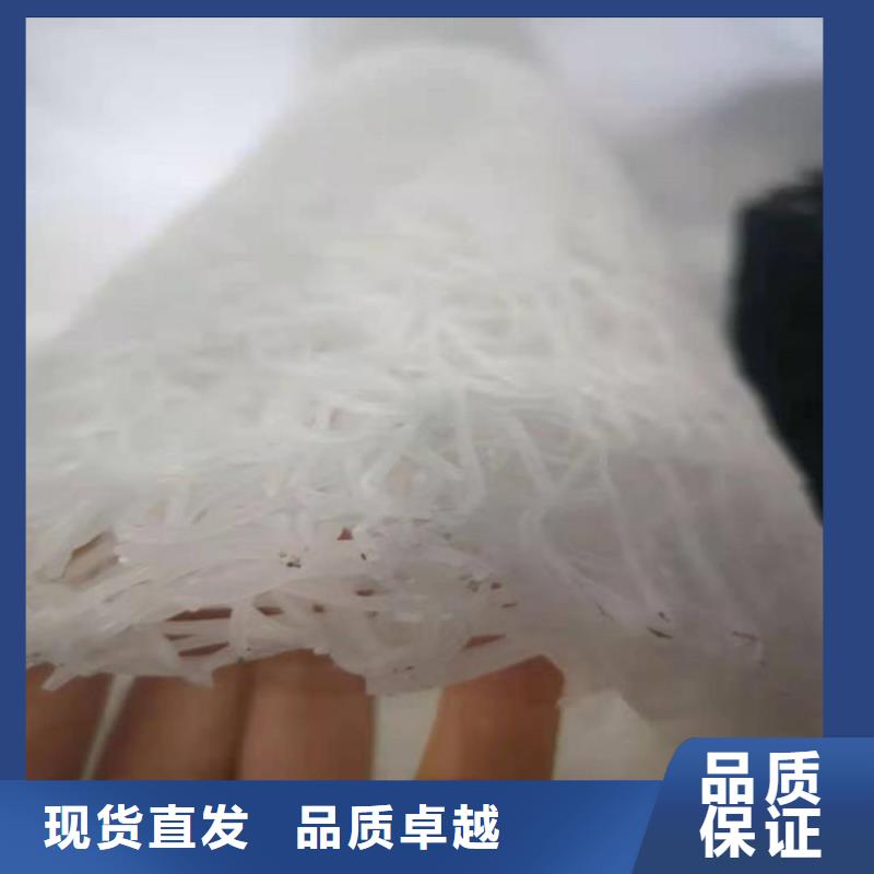 塑料盲沟-涤纶格栅专业的生产厂家