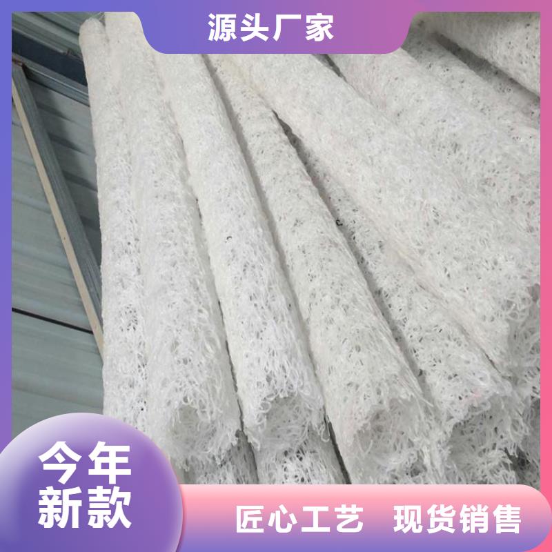 塑料盲沟_植草格源头厂家来图定制