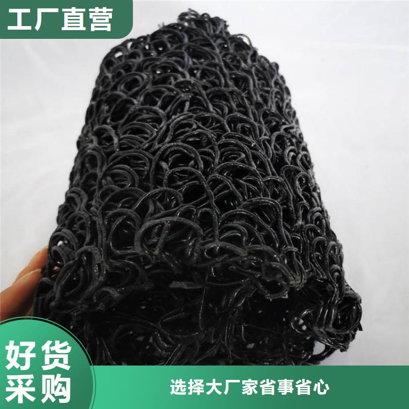 塑料盲沟_植草格源头厂家来图定制