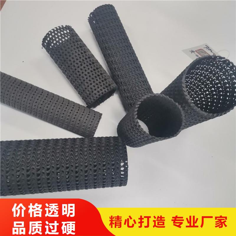 硬式透水管【双向塑料土工格栅】实力商家