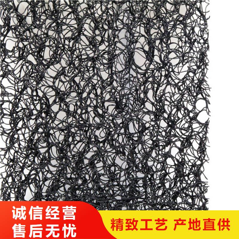 通风降噪丝网双向塑料土工格栅好货有保障