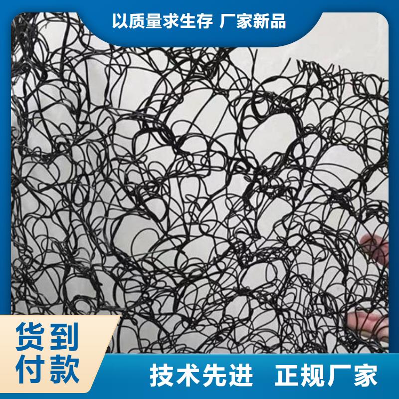通风降噪丝网玻璃纤维土工格栅现货充足量大优惠