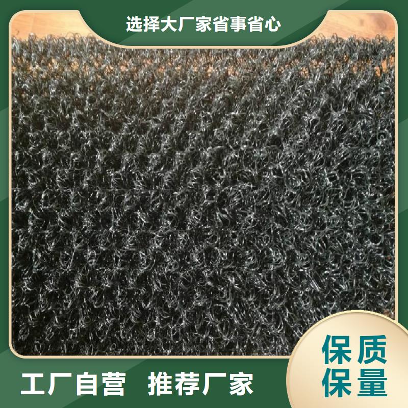 水土保护毯【土工格栅】实拍展现
