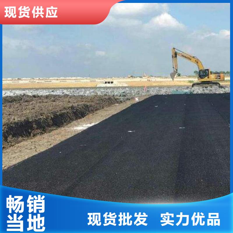 水土保护毯土工膜价格合理