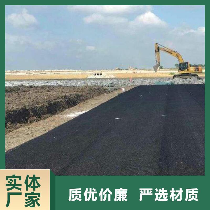 水土保护毯_土工布真正让利给买家