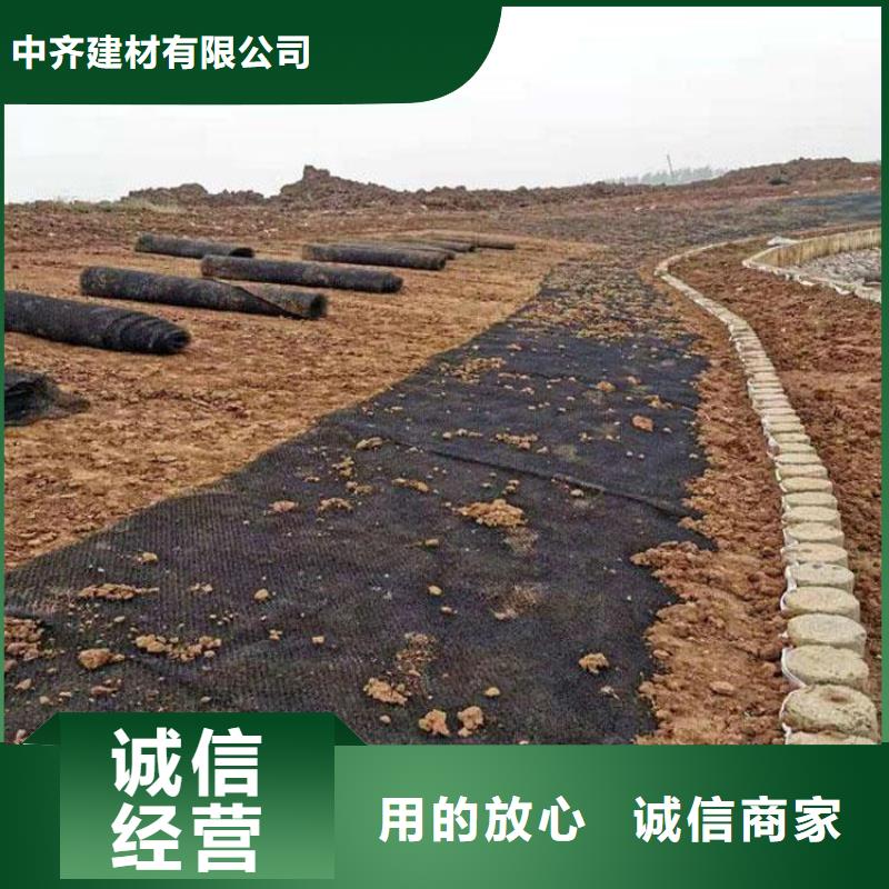 水土保护毯【三维植被网】实时报价