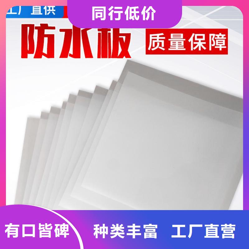 防水板生态带我们更专业