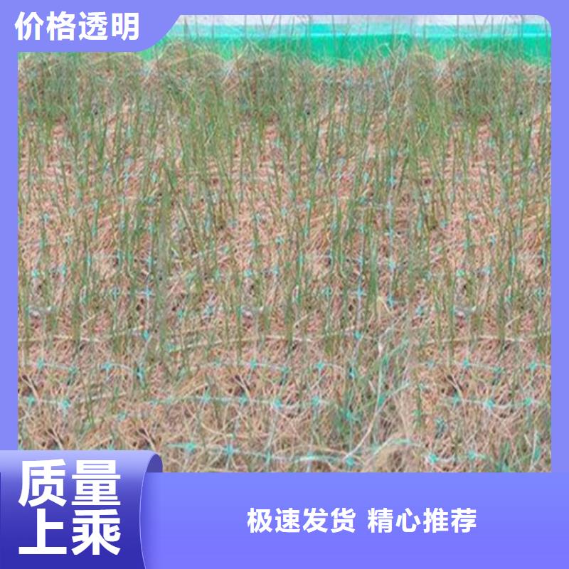 椰丝毯排水管做工精细