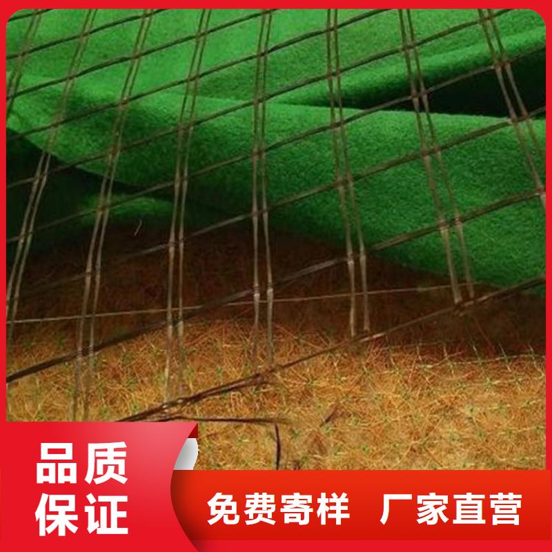 椰丝毯-复合土工膜实力工厂