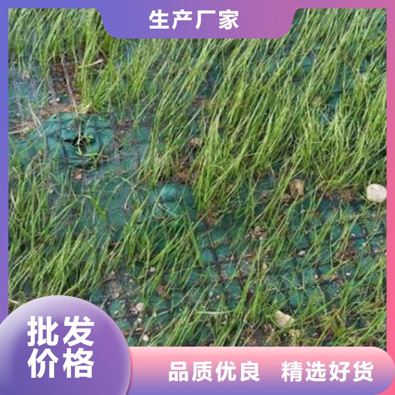 【椰丝毯】防水板质检严格