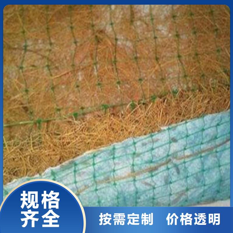 椰丝毯-复合土工膜实力工厂
