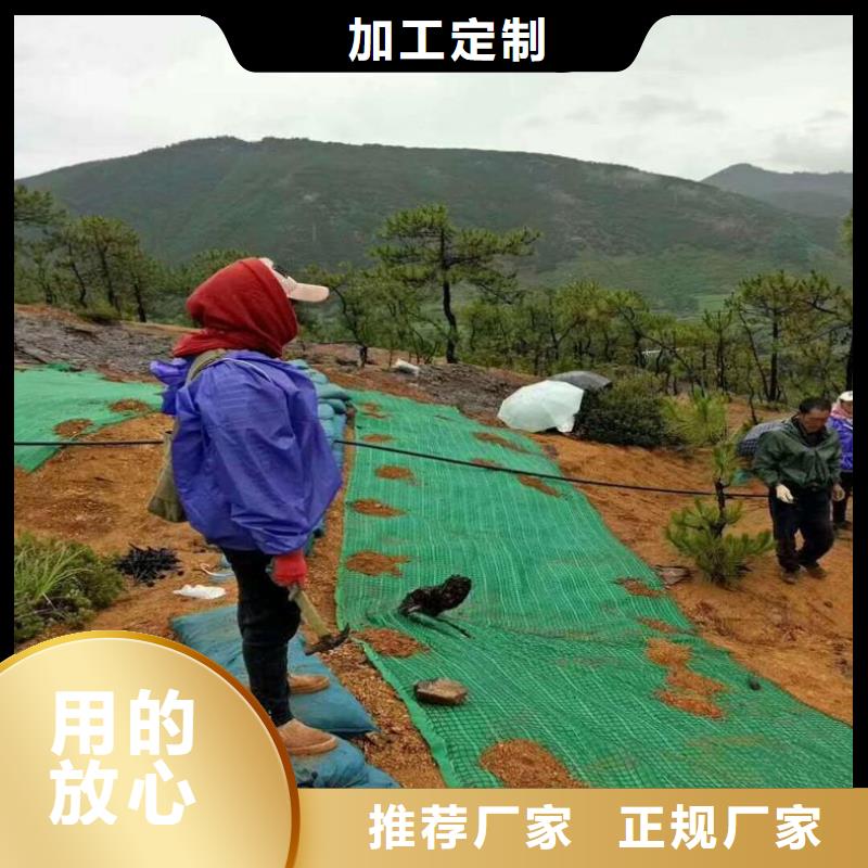 椰丝毯HDPE土工膜实力优品