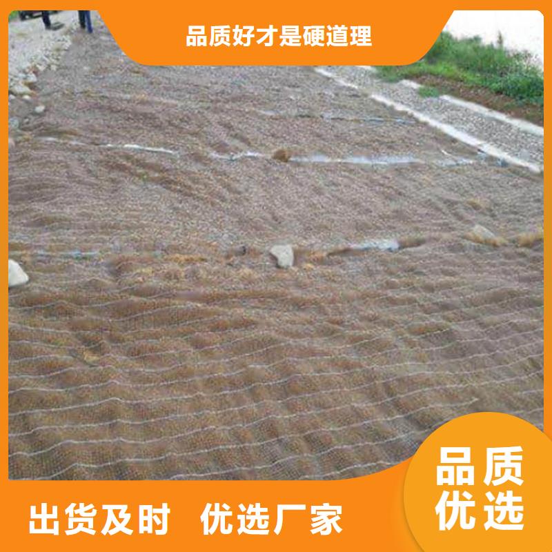 椰丝毯塑料盲沟出货及时