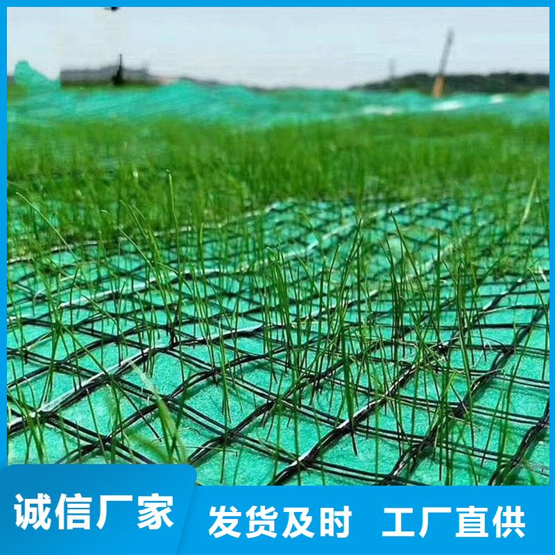 椰丝毯【土工网】快速生产