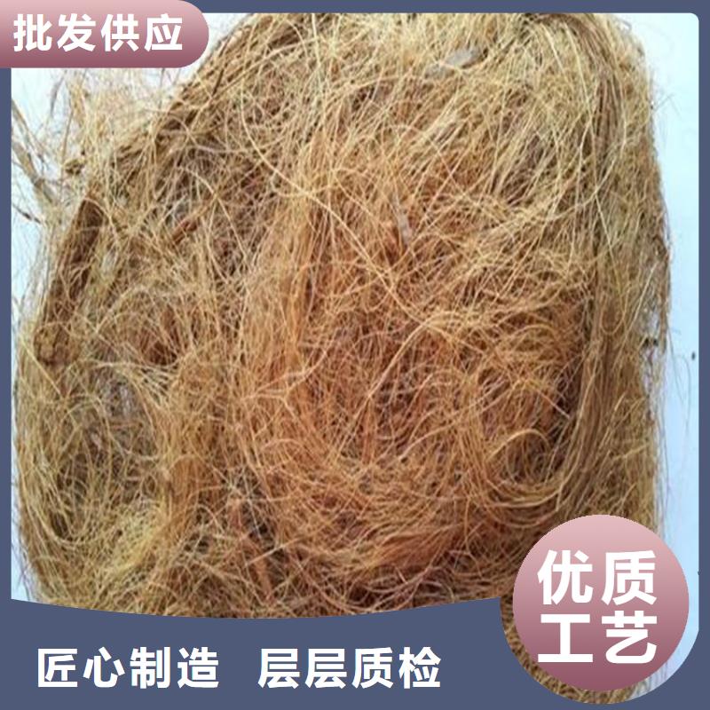 椰丝毯塑料土工格栅质量优选