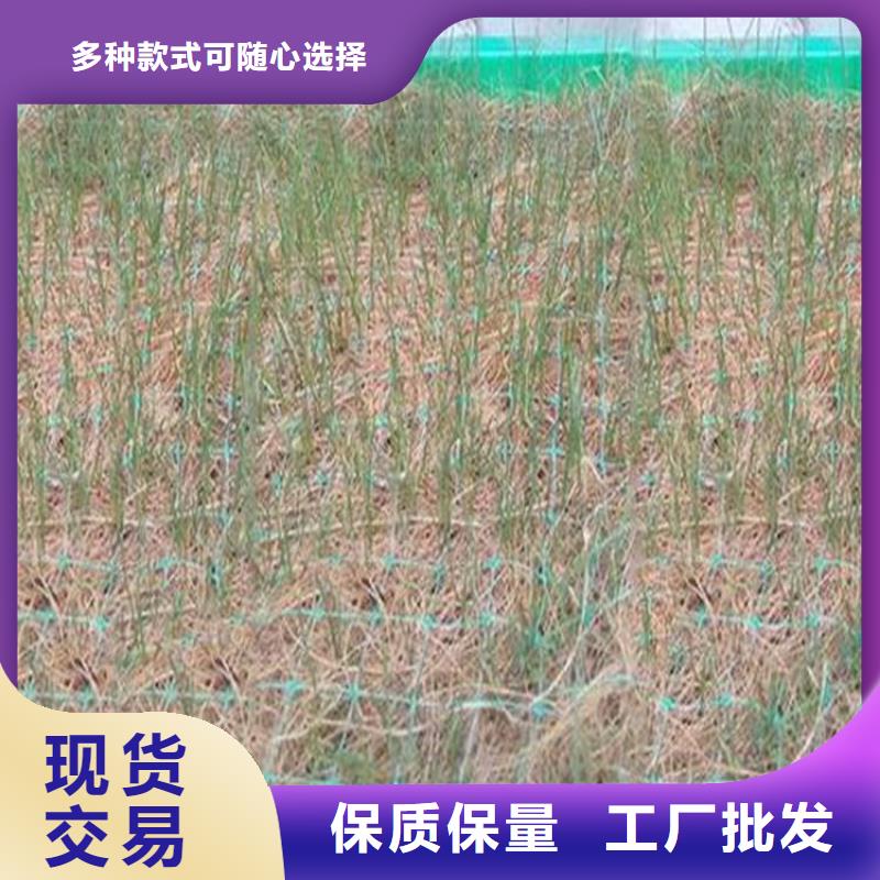 椰丝毯-复合土工膜实力工厂