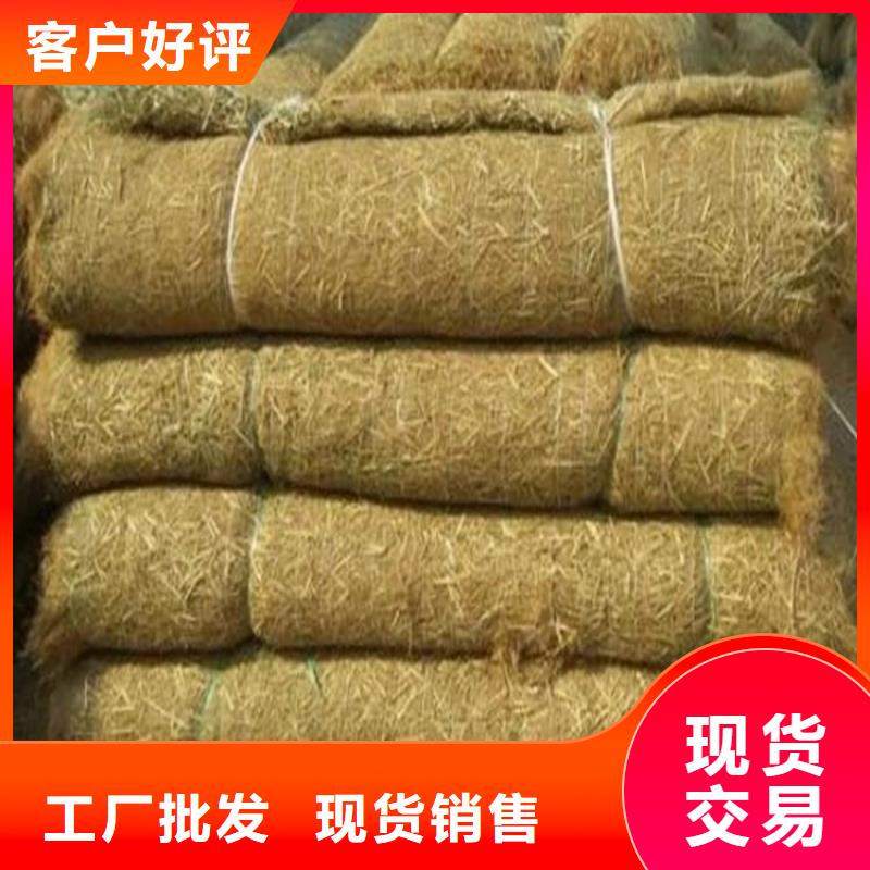 椰丝毯土工膜来图来样定制