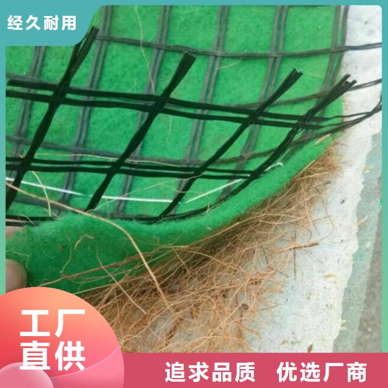 椰丝毯土工格栅货源直供