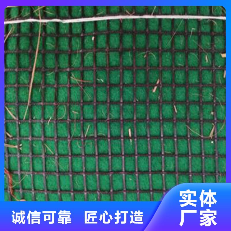 椰丝毯-土工膜敢与同行比质量