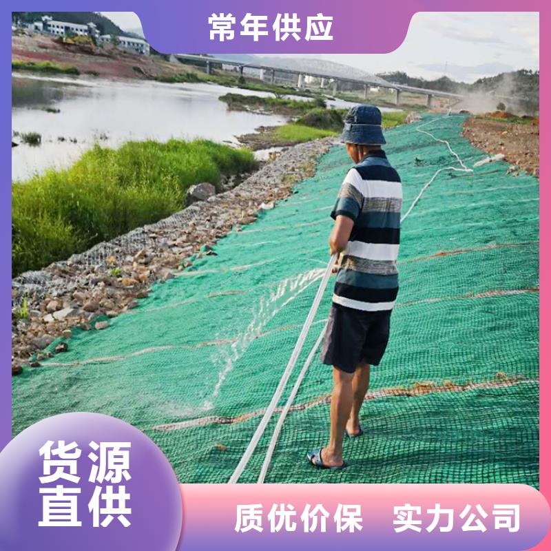 椰丝毯-排水板订购