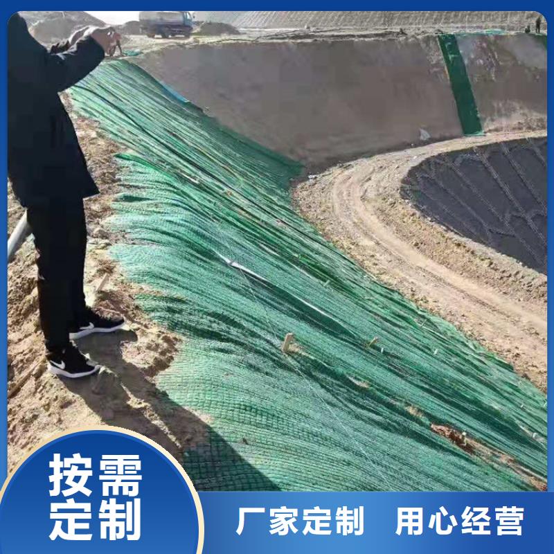 椰丝毯_【双向塑料土工格栅】生产加工