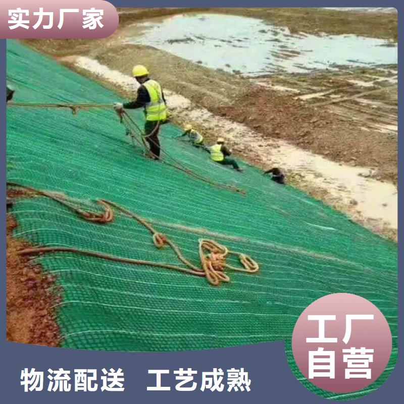 椰丝毯HDPE土工膜优选厂商