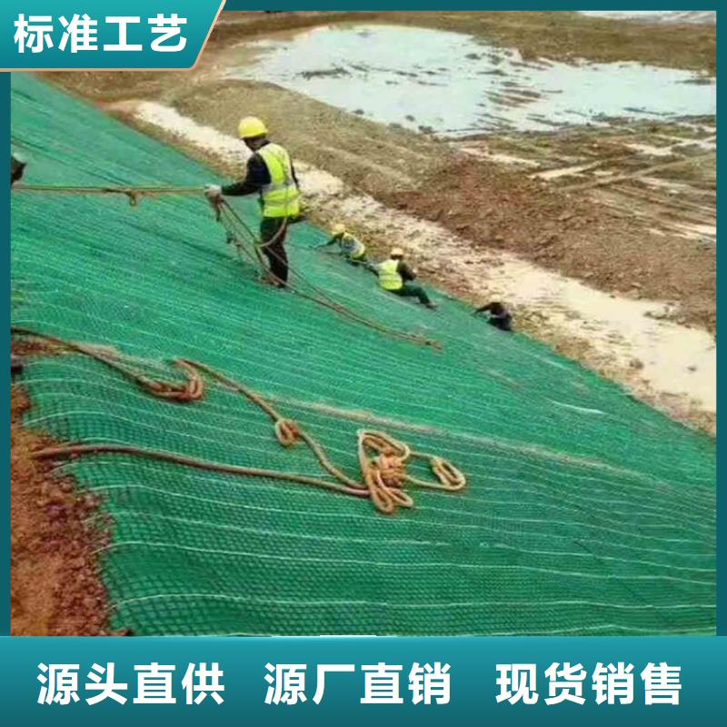 椰丝毯聚酯布今年新款