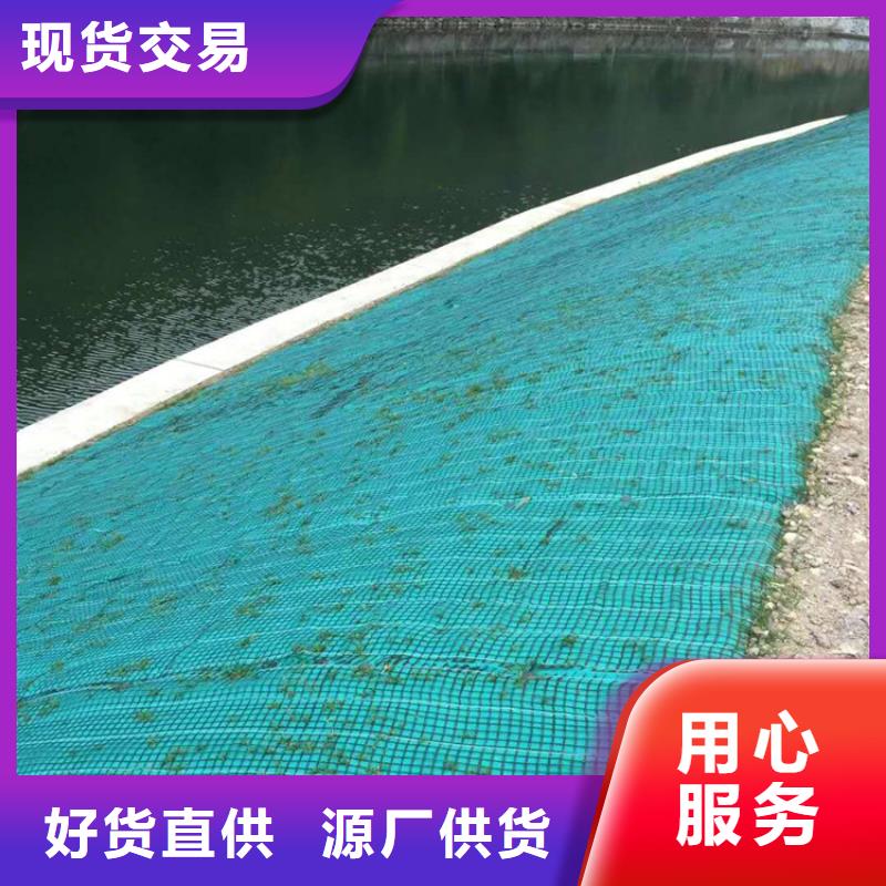 椰丝毯塑料盲沟出货及时