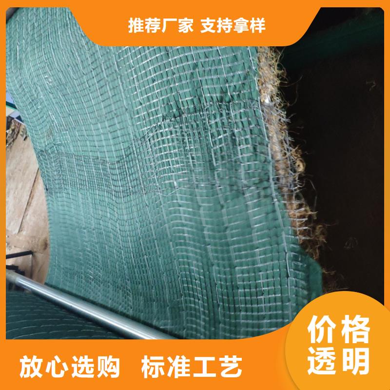 椰丝毯【三维植被网】质量优价格低