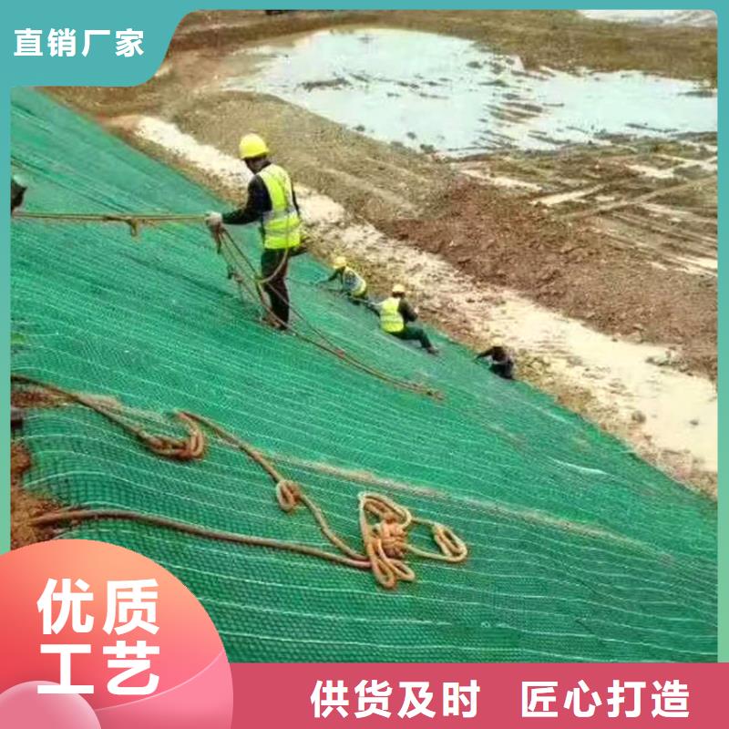 椰丝毯【三维植被网】质量优价格低