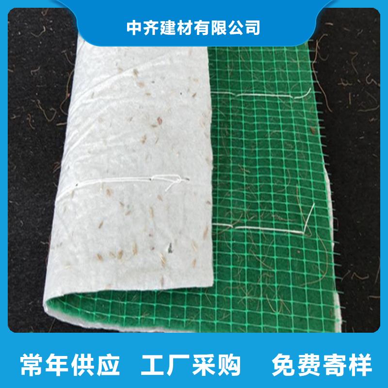 椰丝毯-双向塑料土工格栅现货销售