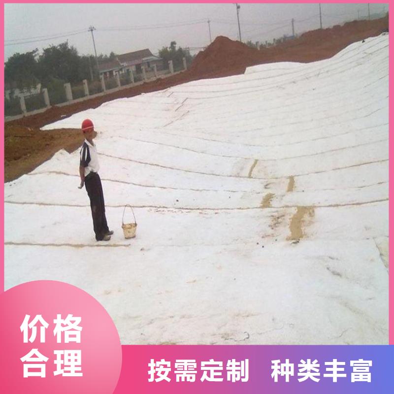 膨润土防水毯【钢塑土工格栅】支持大小批量采购