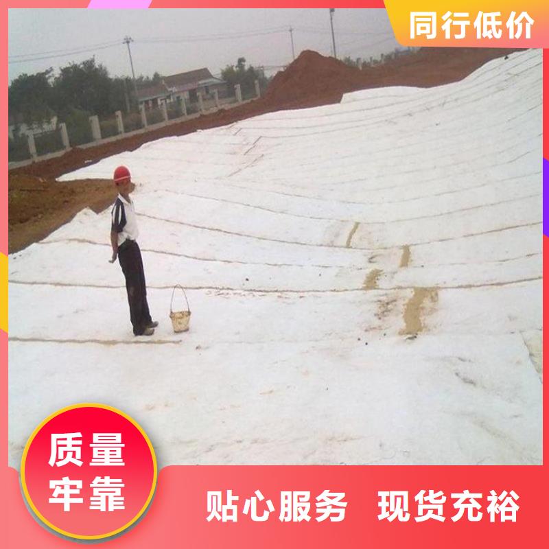 膨润土防水毯_双向土工格栅产地厂家直销