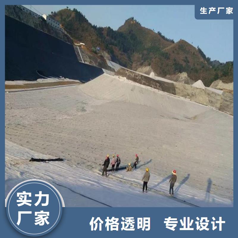 膨润土防水毯【复合土工膜】拥有多家成功案例