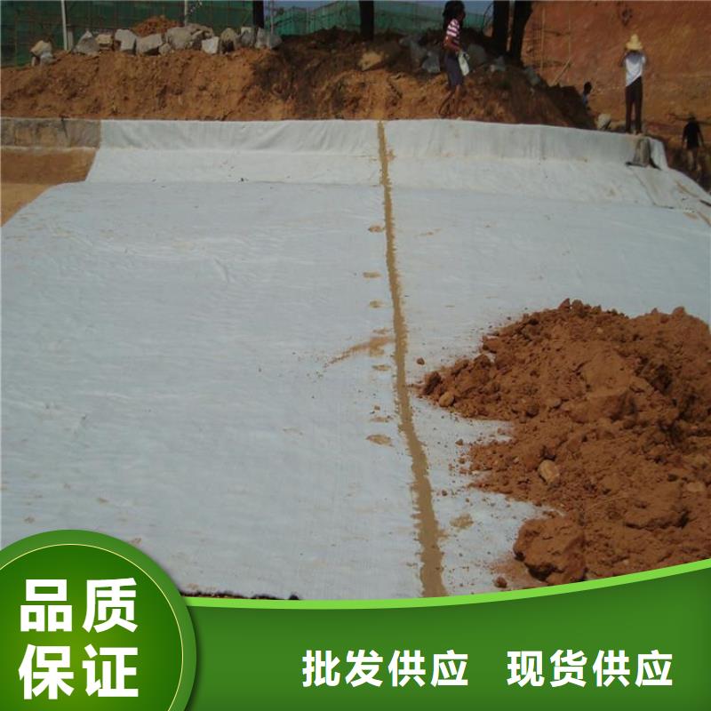 膨润土防水毯玻璃纤维土工格栅品质之选