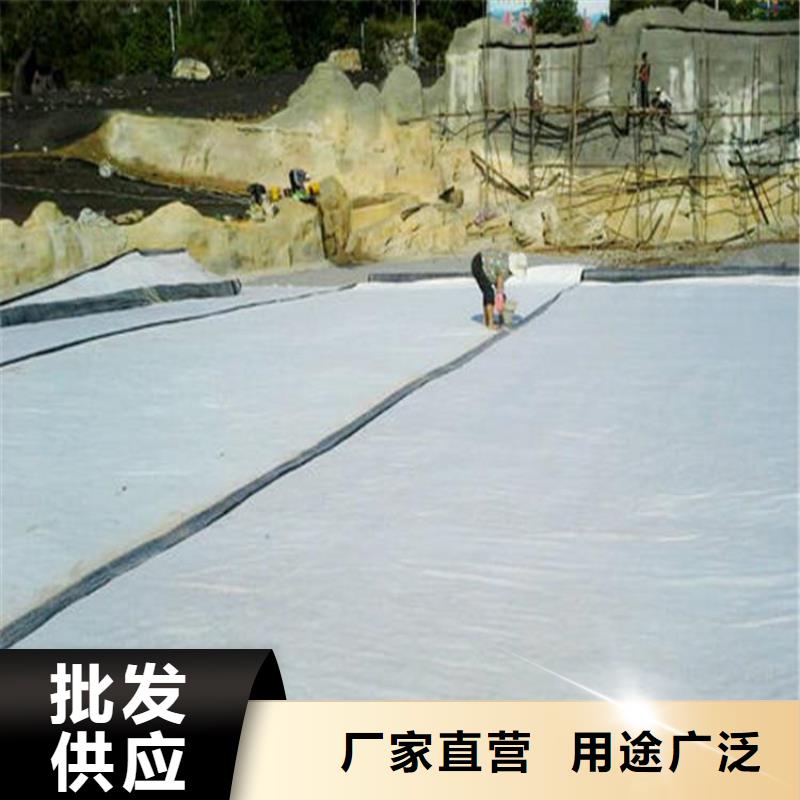 膨润土防水毯_双向土工格栅产地厂家直销