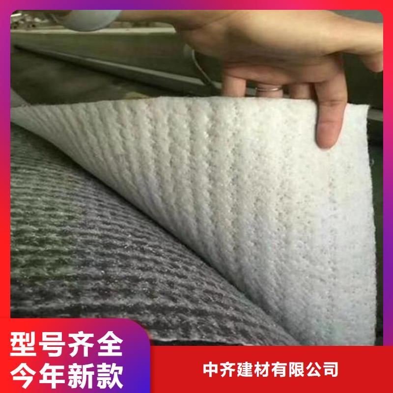 【膨润土防水毯】通风降噪丝网保质保量