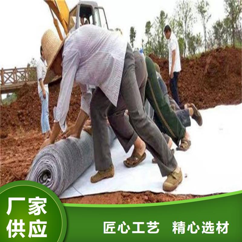 膨润土防水毯【钢塑土工格栅】厂家直营
