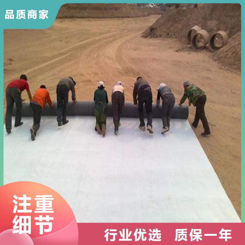 膨润土防水毯-土工膜品质保证实力见证