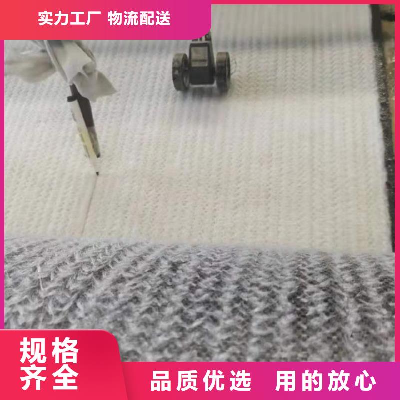 膨润土防水毯土工膜详细参数