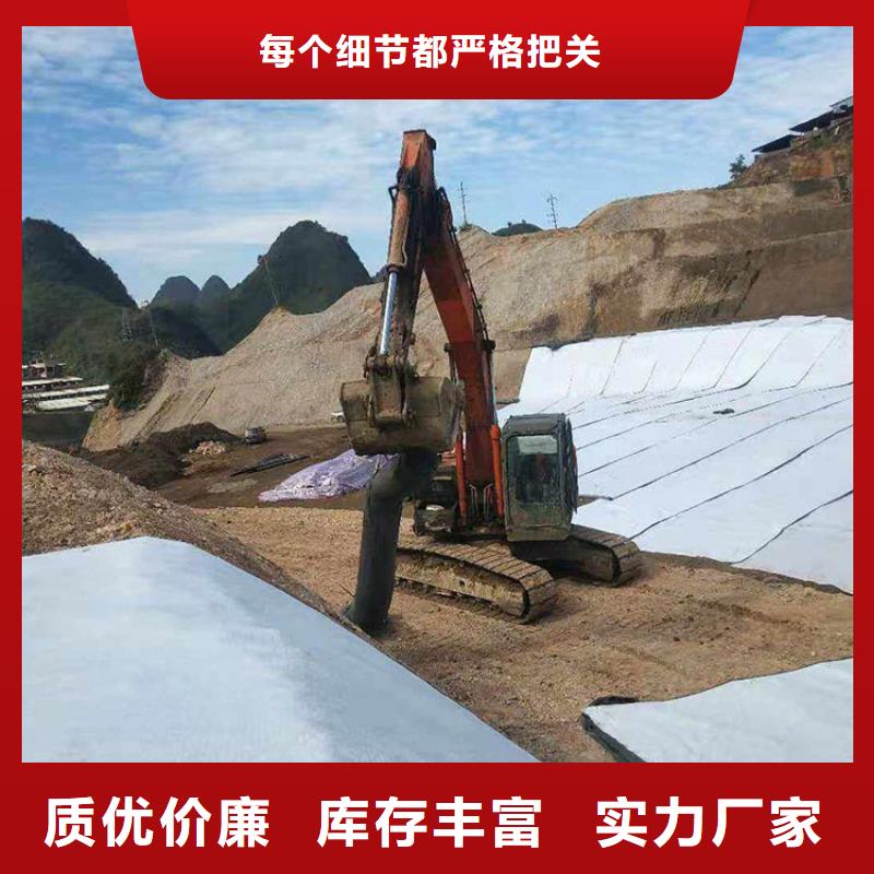 膨润土防水毯车库顶板排水板实地大厂