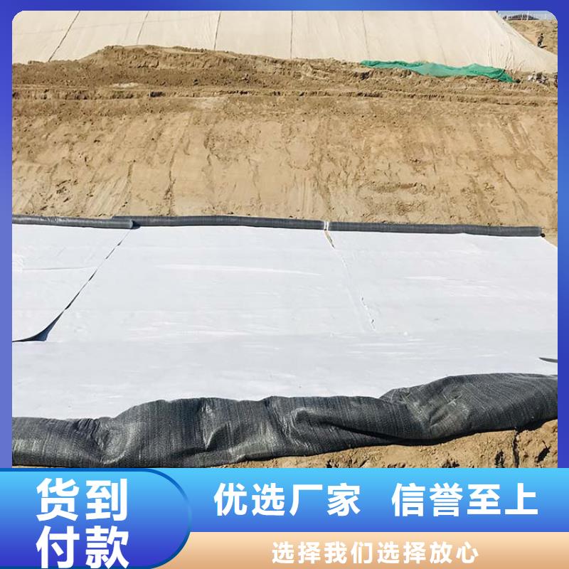 【膨润土防水毯】短纤无纺土工布品质保障售后无忧