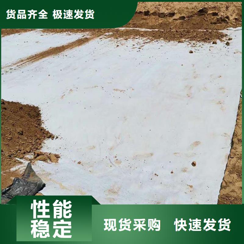 膨润土防水毯-土工膜品质保证实力见证